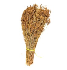 Kantaron 1 KG