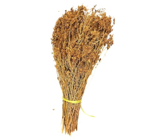 Kantaron 1 KG
