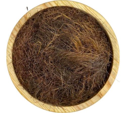 Mısır Püskülü 1KG