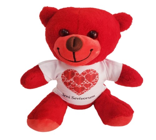 Kalpli Seni Seviyorum Tişörtlü Kırmızı Ayıcık