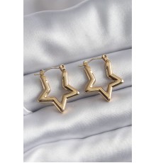 316L Çelik Gold Renk Yıldız Model Kadın Küpe - TJ-BKP8306