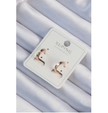 Xuping Rose Renk Oval Kesim Aynalı Halka Küpe - TJ-BKP9446