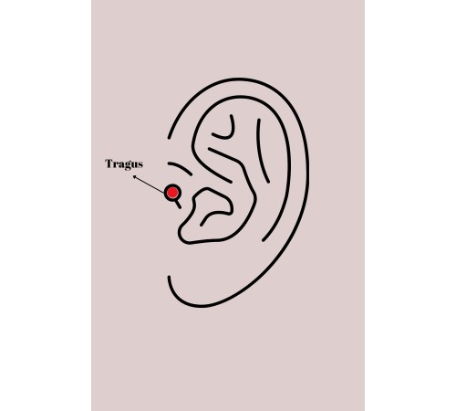 316L Çelik Gold Renk Pembe Mineli Kalp Zirkon Taş Detay Tragus Piercing - TJ-PR1272 316L Çelik Gold Renk Pembe Mineli Kalp Zirkon Taş Detay Tragus Piercing - TJ-PR1272