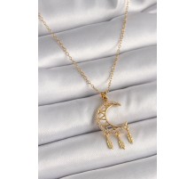 316L Çelik Gold Renk Zincir Zirkon Taşlı Hilal Model Sallantı Yaprak Detay Kadın Kolye - TJ-BKO9650