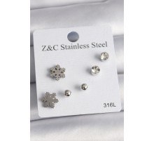 316L Çelik Gümüş Renk Zirkon Taşlı Kar Tanesi Model Kadın Küpe Seti - TJ-BKP10014