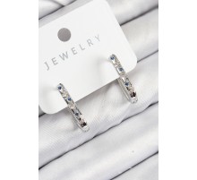 Pirinç Zirkon Taşlı Çiçek Desenli Model Gümüş Renk Kadın Küpe - TJ-BKP11061