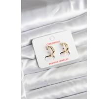 14K Gold Renk Kaplama CM Kadın Küpe - TJ-BKP11401