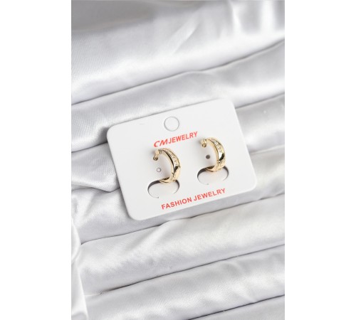 14K Gold Renk Kaplama CM Kadın Küpe - TJ-BKP11401