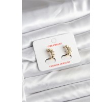 14K Gold Renk Kaplama CM Kadın Küpe - TJ-BKP11403