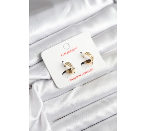 14K Gold Renk Kaplama CM Kadın Küpe - TJ-BKP11407