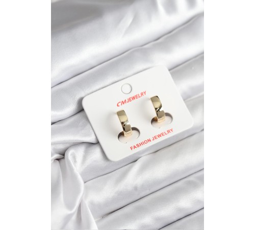 14K Gold Renk Kaplama CM Kadın Küpe - TJ-BKP11408