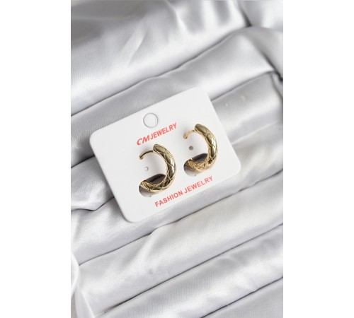 14K Gold Renk Kaplama CM Kadın Küpe - TJ-BKP11411