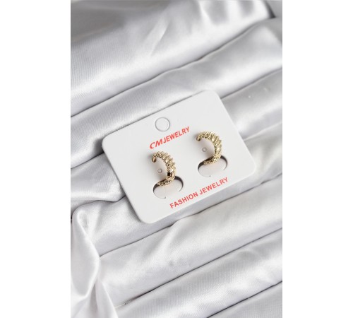 14K Gold Renk Kaplama CM Kadın Küpe - TJ-BKP11412