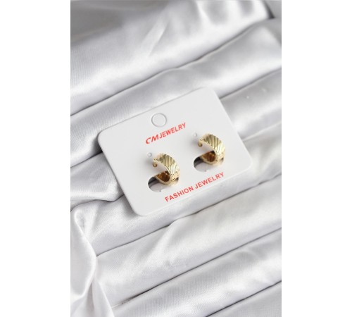 14K Gold Renk Kaplama CM Kadın Küpe - TJ-BKP11413