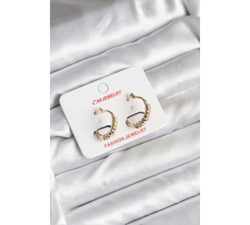 14K Gold Renk Kaplama CM Kadın Küpe - TJ-BKP11415