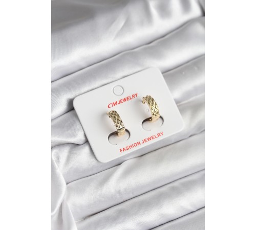 14K Gold Renk Kaplama CM Kadın Küpe - TJ-BKP11416