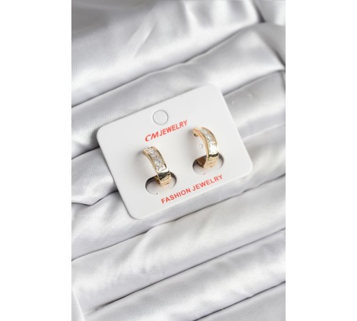 14K Gold Renk Kaplama CM Kadın Küpe - TJ-BKP11421