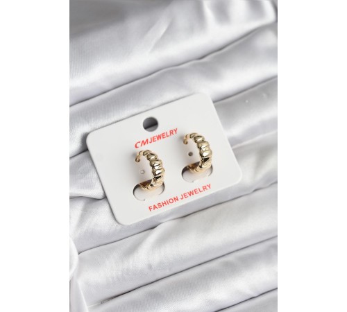 14K Gold Renk Kaplama CM Kadın Küpe - TJ-BKP11422