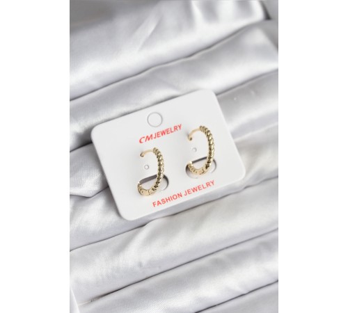 14K Gold Renk Kaplama Burgu Halka CM Kadın Küpe - TJ-BKP11423