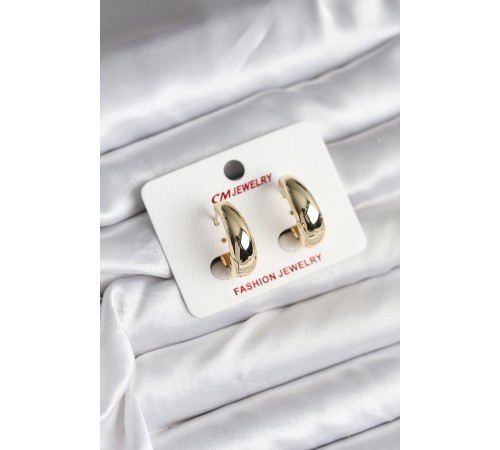 14K Gold Renk Kaplama Halka CM Kadın Küpe - TJ-BKP11426