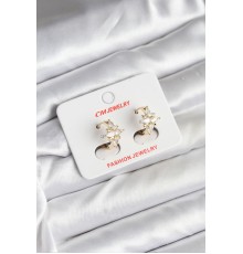 14K Gold Renk Kaplama Kutup Yıldız Zirkon Taşlı CM Kadın Küpe - TJ-BKP11427