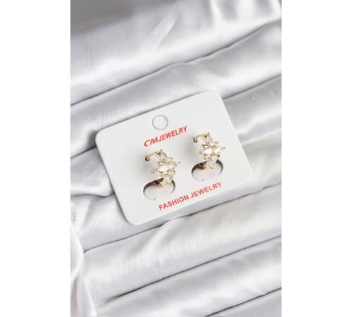 14K Gold Renk Kaplama Kutup Yıldız Zirkon Taşlı CM Kadın Küpe - TJ-BKP11427