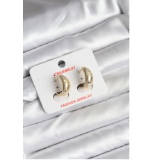 14K Gold Renk Kaplama CM Kadın Küpe - TJ-BKP11429