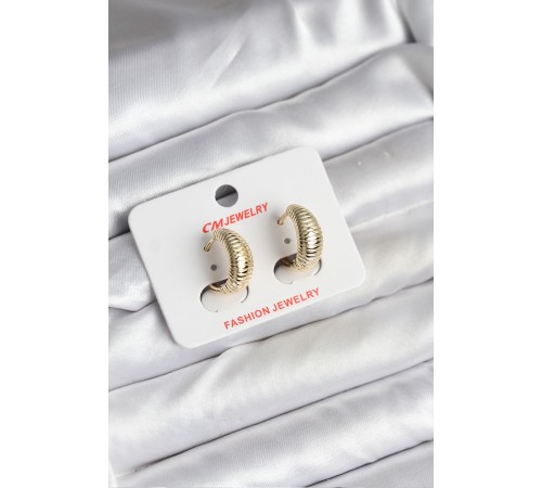 14K Gold Renk Kaplama CM Kadın Küpe - TJ-BKP11429