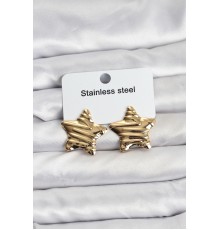 316L Çelik Gold Renk Yıldız Model Kadın Küpe - TJ-BKP11507