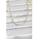 CM 14K Gold Renk Burgu Model Zincirli 60 cm Kadın Kolye - TJ-BKO10959