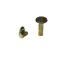 Cilt Menü, Katalog, Kartela Vidası, 20 mm - Sarı, 100 Adet