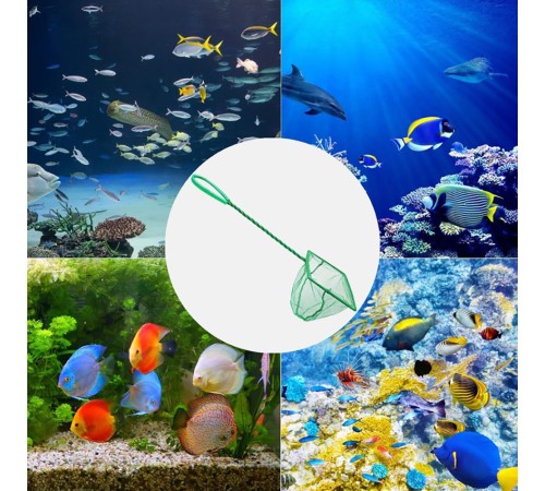 Akvaryum Balık Kepçesi 12 CM Akvaryum Balık Kepçesi 12 CM