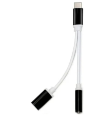 ZR310 Ft Ac 20 Type-C 2 İn 1 Çevirici