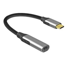 ZR125 Type-C Mini Dp Çevirici