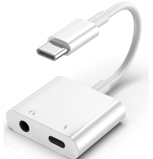 ZR733 Gl054-1 Type-C Aux Şarj Çevirici