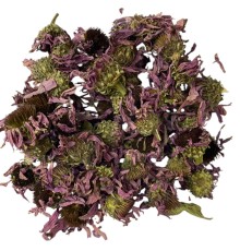 Kirpi Otu - Ekinezya 1KG