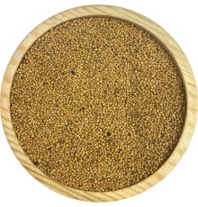 Sarı Hardal Tohumu 1KG