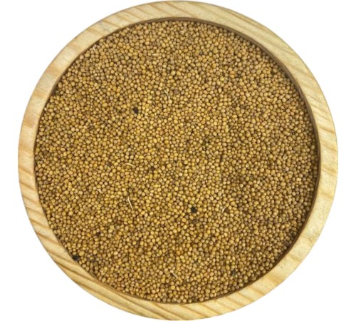 Sarı Hardal Tohumu 1KG