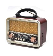 Nostaljik Görünümlü USB SD AUX Bluetooth Destekli Şarjlı Radyo RT-860
