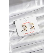 14K Gold Renk Kaplama CM Kadın Küpe TJ-BKP11401
