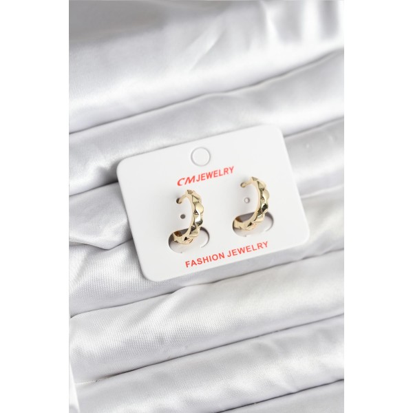 14K Gold Renk Kaplama CM Kadın Küpe TJ-BKP11404