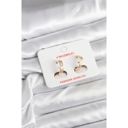 14K Gold Renk Kaplama CM Kadın Küpe TJ-BKP11405