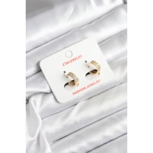 14K Gold Renk Kaplama CM Kadın Küpe TJ-BKP11407