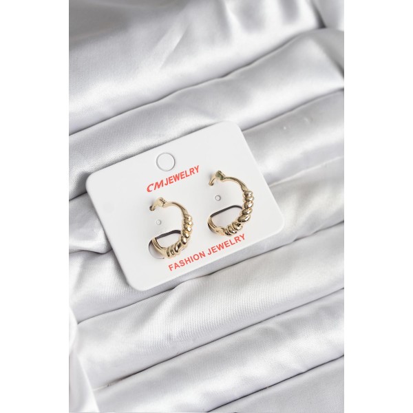 14K Gold Renk Kaplama CM Kadın Küpe TJ-BKP11415