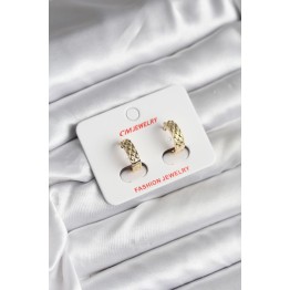 14K Gold Renk Kaplama CM Kadın Küpe TJ-BKP11416