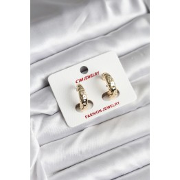 14K Gold Renk Kaplama CM Kadın Küpe TJ-BKP11420