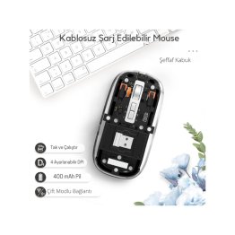 Siyah 501 Bt+ Wireless Mouse ZR1133