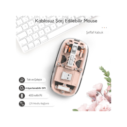 Pembe 501 Bt+ Wireless Mouse ZR1133