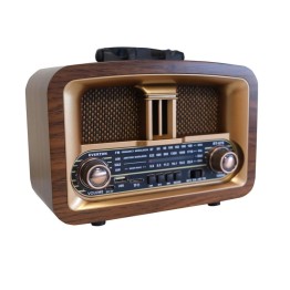 Bluetooth Usb/Sd/Aux/Fm Nostalji Radyo RT-876