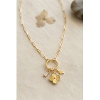 Gold Renk Ataç Zincir Yonca Model Kadın Kolye TJ-BKO11208